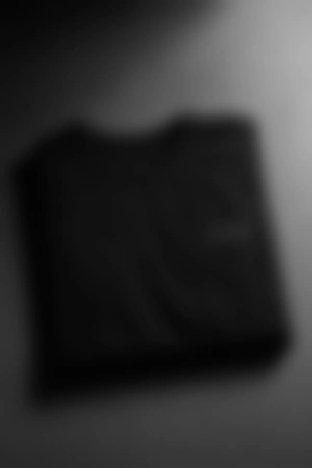 TEAM365. Tonal Tee — 365 seal print in raking light